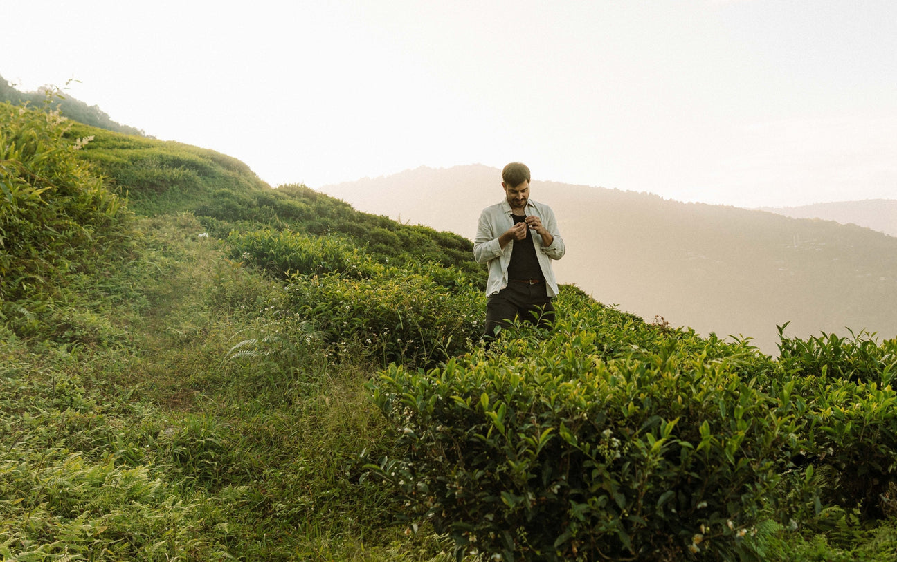 A Return to the Mountains: The Inspiration Behind Eduard/Himalaya