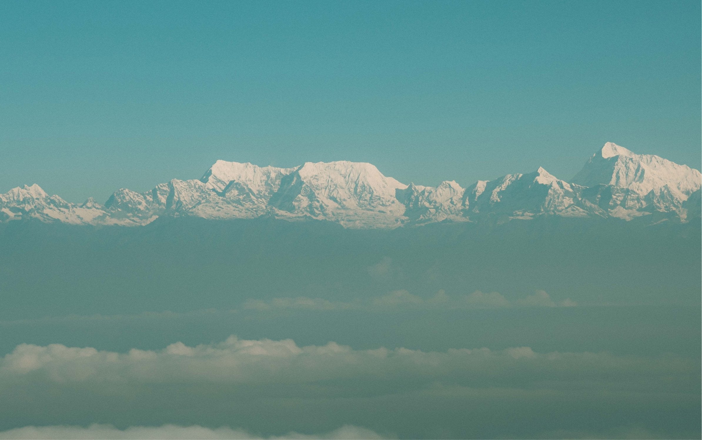 Shaped by the Elements: A Guide to Terroir, Seasons, and Altitudes