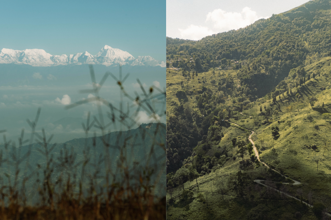 Eduard/Himalaya