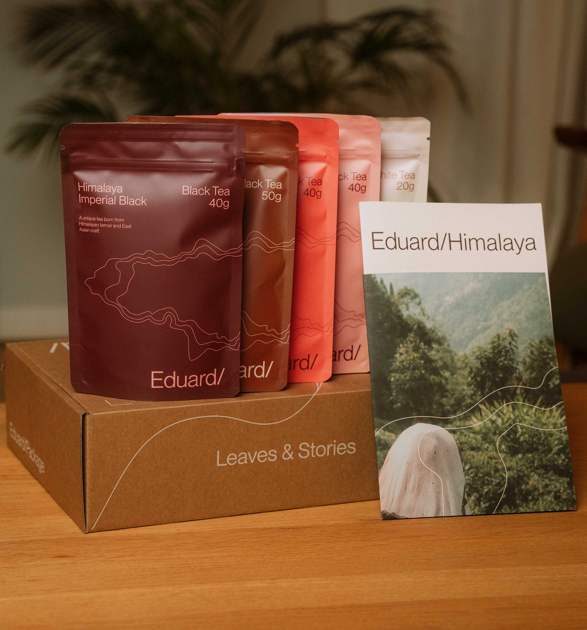 Eduard/Himalaya Experience