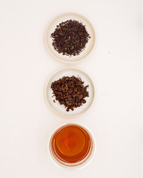 Dry leaves, infused leaves and infusion of Autumn Flush