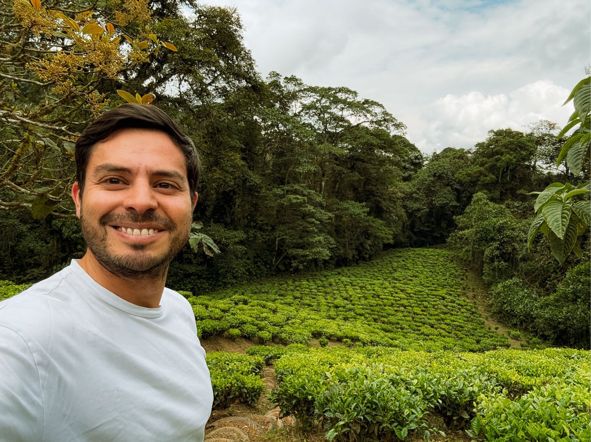 Eduardo smiling in a tea garden in the Andes