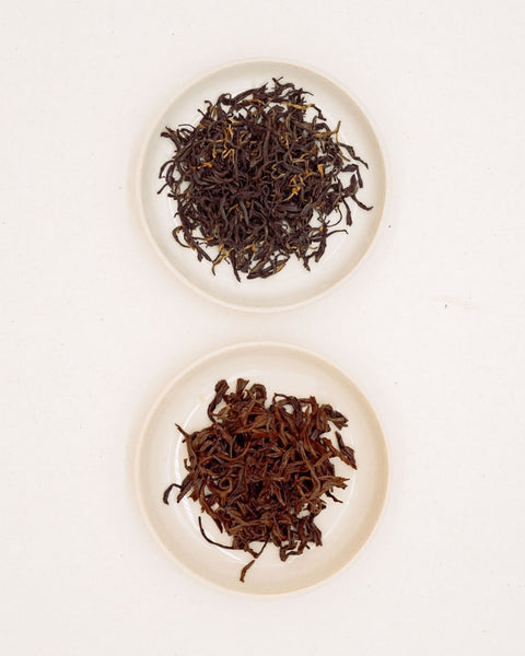 Dry and infused leaves of Himalaya Imperial Black on two plates