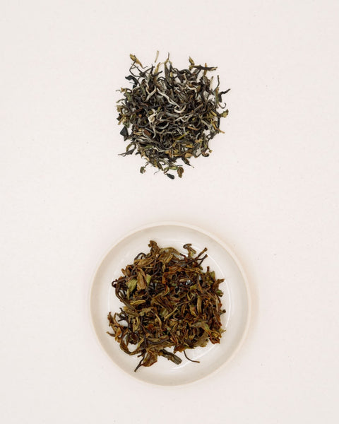 Dry and infused leaves of Himalaya Spring on two plates