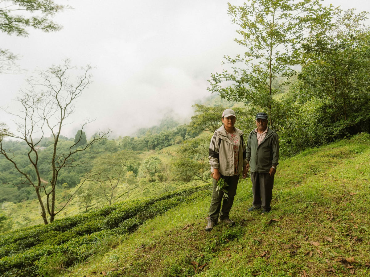 Two tea makers in a hillside tea garden